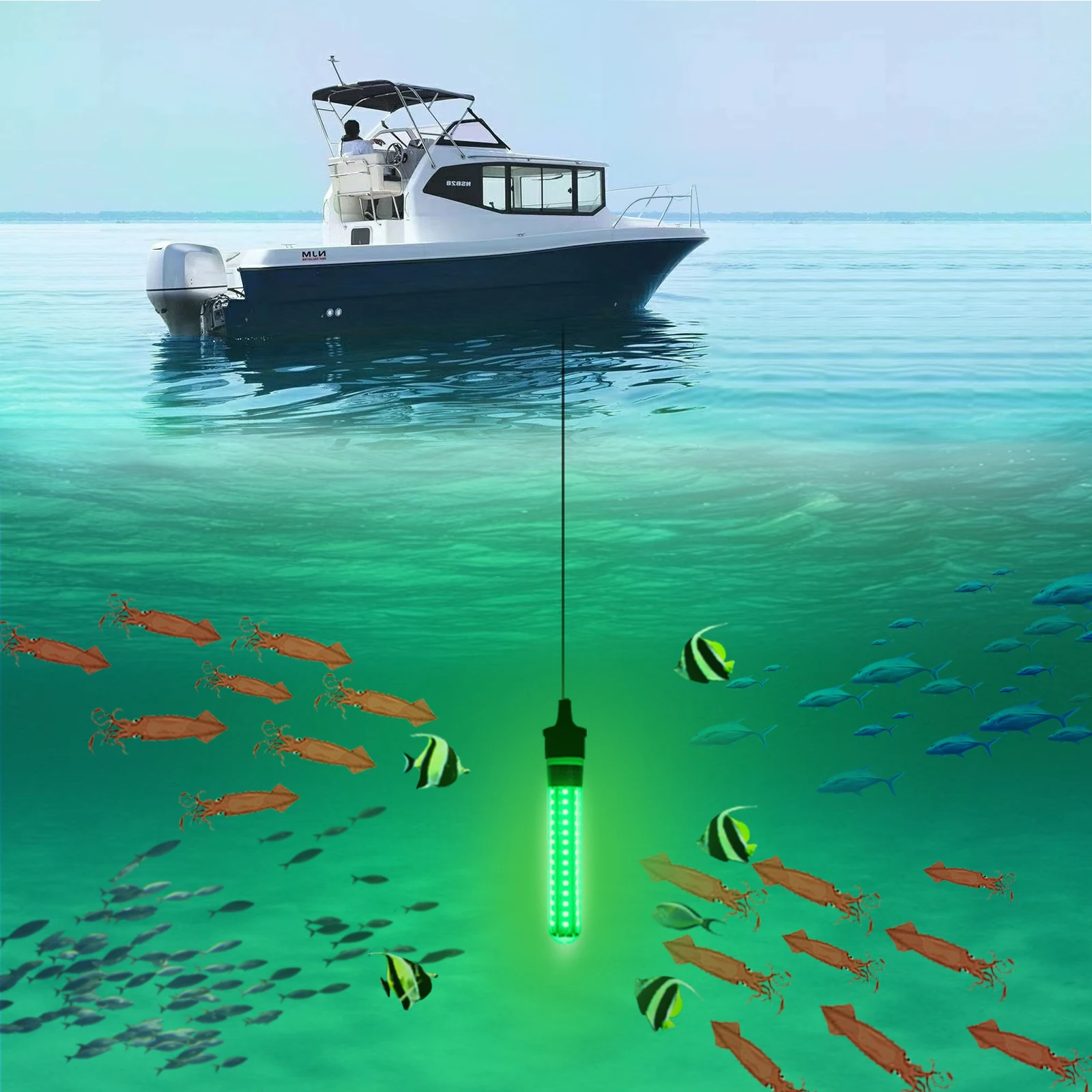 Fishing Light Underwater night fishing light 5V-12V 6.5W spearfishing light green IP68 boats waterproof 5M corded lamp for ice fishing