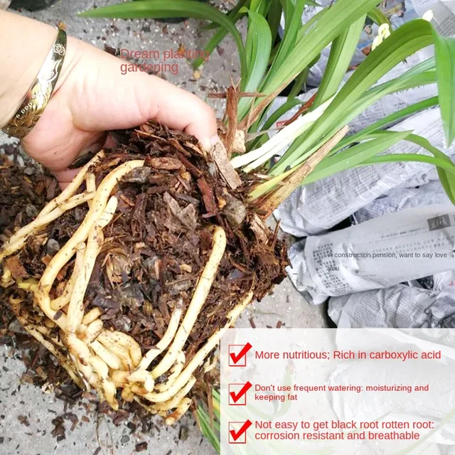 Tiszta Kínai Fenyő Gabona Ültetési Anyag, Fenyőfák Dugványok, Dendrobium Nobile, Clivia Miniata, Tápanyag -Talaj