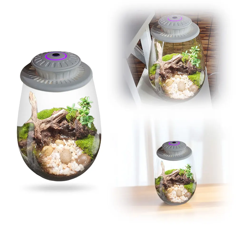 Micro Landscape Plant Growth Lamp with Timer Desktop Miniature Plant Growing Light for Indoor Plants Succulents Mini Bonsai plant growth lamp