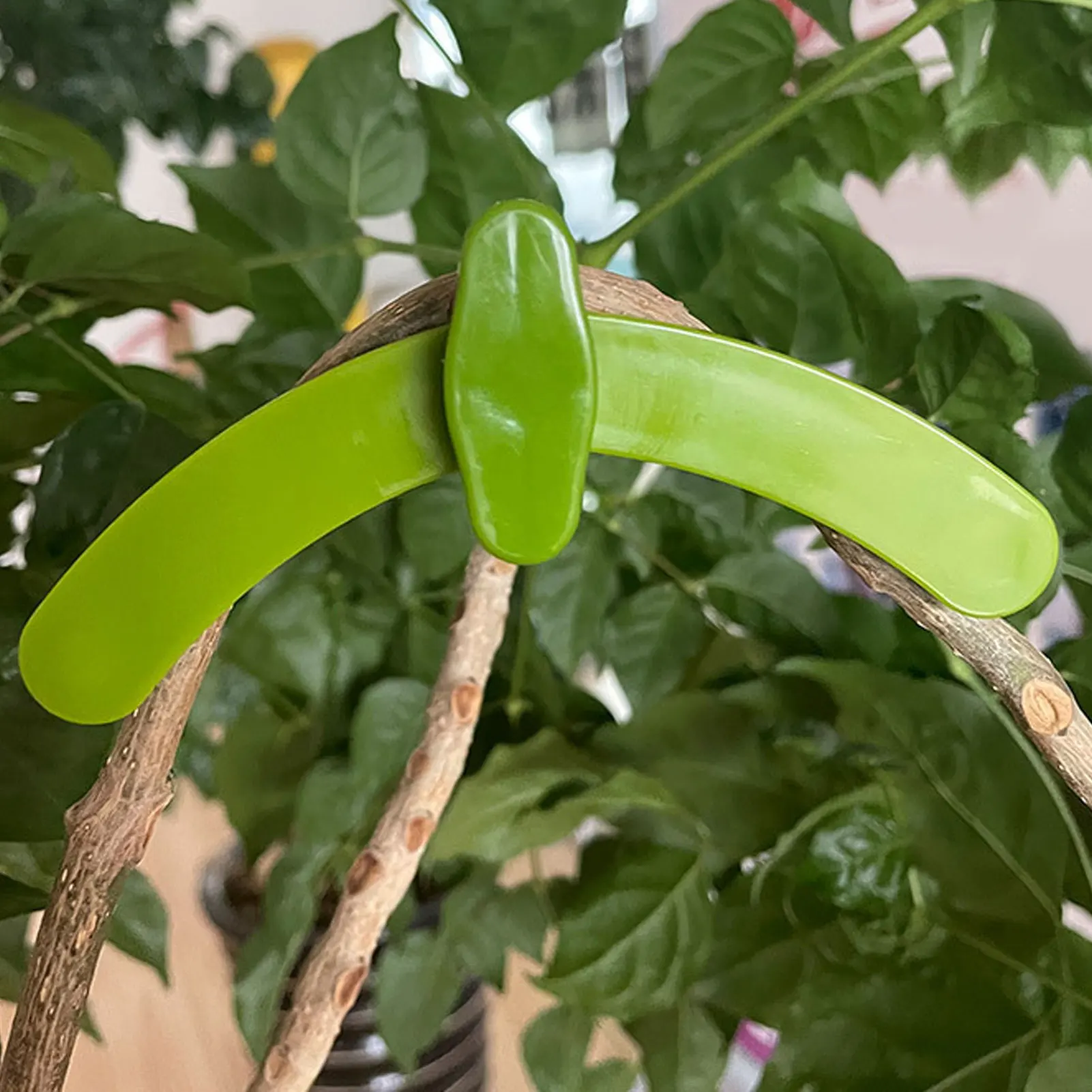 

10PCS Adjustable Plant Branch Bending Holder Reusable Branch Puller Branch Holder Clip Bonsai Styling Tool Garden Supplies