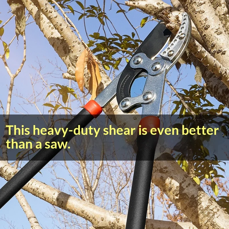 텔레스코픽 헤비듀티 전정가위 SK5 스틸 바이패스 전지가위 3cm/5cm 가지 절단 가능 인체공학적 정원 나무 전정기 (높은 가지용)