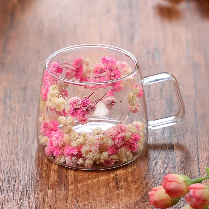 Copo de vidro transparente de alto borosilicato de parede dupla flores secas xícara de chá de vidro caneca de café com alça copos de chá resistentes ao calor
