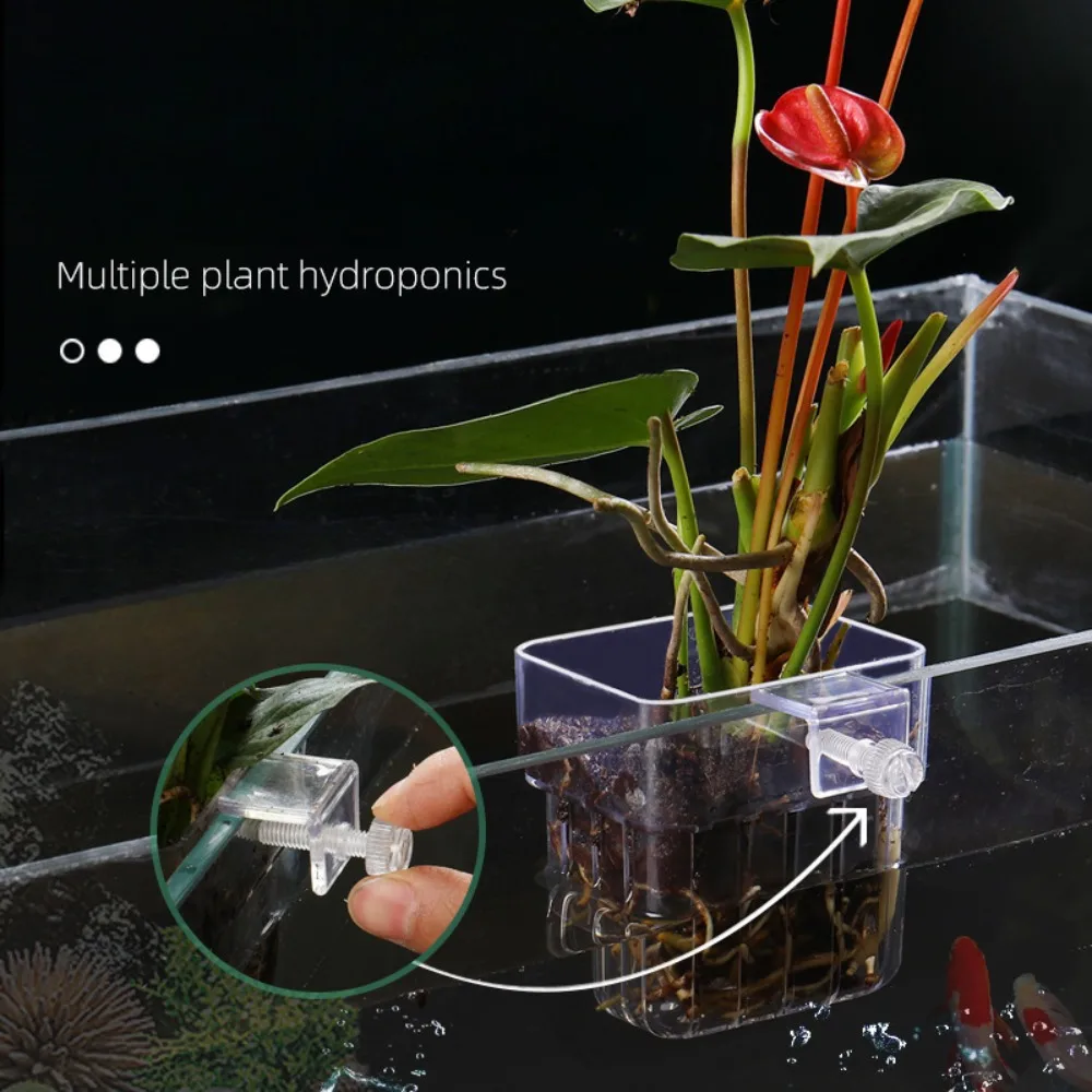 Fish Aquarium Water Grass Cup Multiple Plant Hydroponics Hydroponic  Planting Basket For Fish Tank Landscape Home Garden - AliExpress, image size:1000x1000