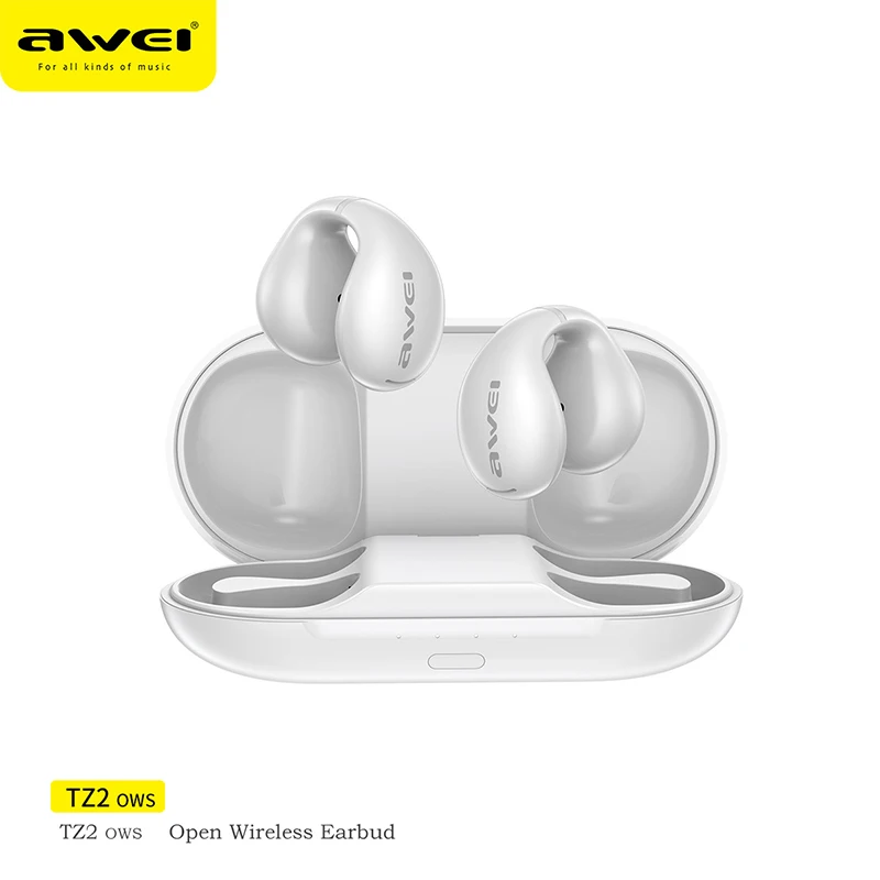 Two Wireless Earphones TW ワイヤレスイヤホン JVC HA-XC72T-R ワイヤレスイヤホン XXシリーズ 重低音 ノイズキャンセ