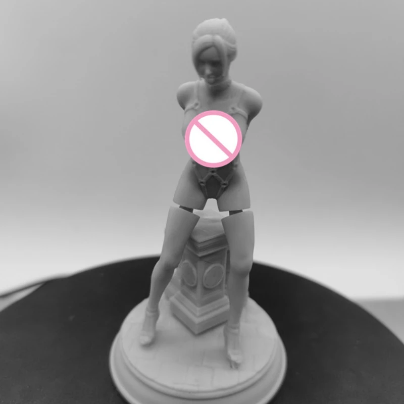 1/24  ̴Ͼó   ŰƮ,    ̵ ǱԾ 峭,  DIY  ǱԾ