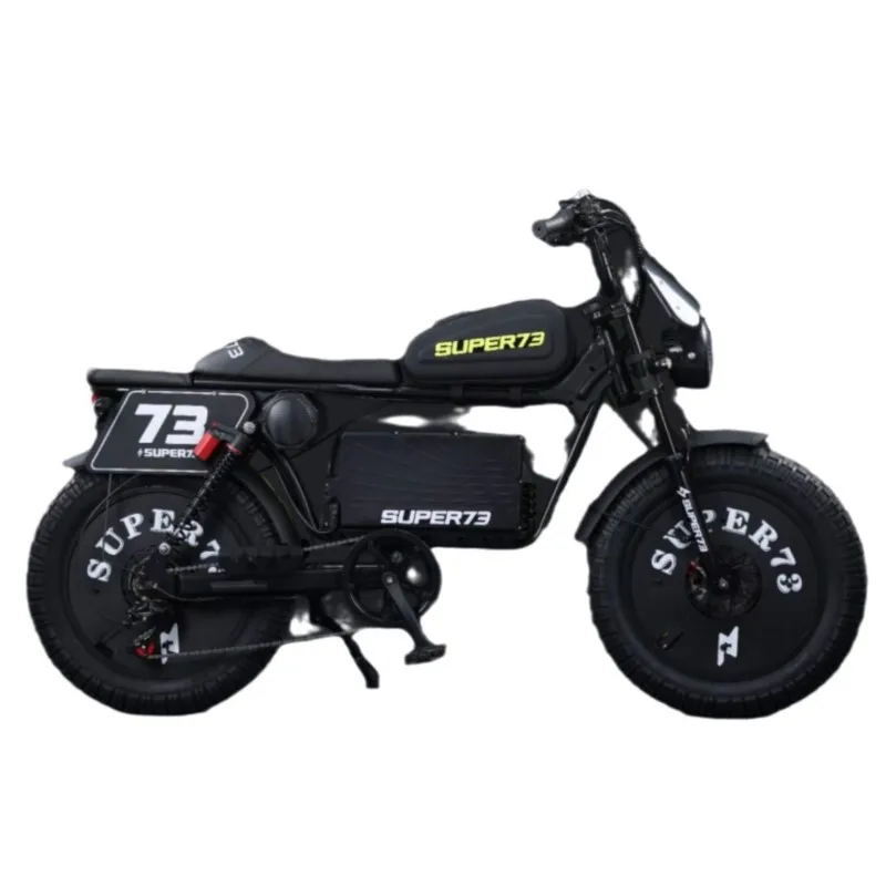 Black Warrior Lithium Battery Snowmobile Front and Rear Brake with NFC Electric Bicycle off-Road Beach Motorcycle