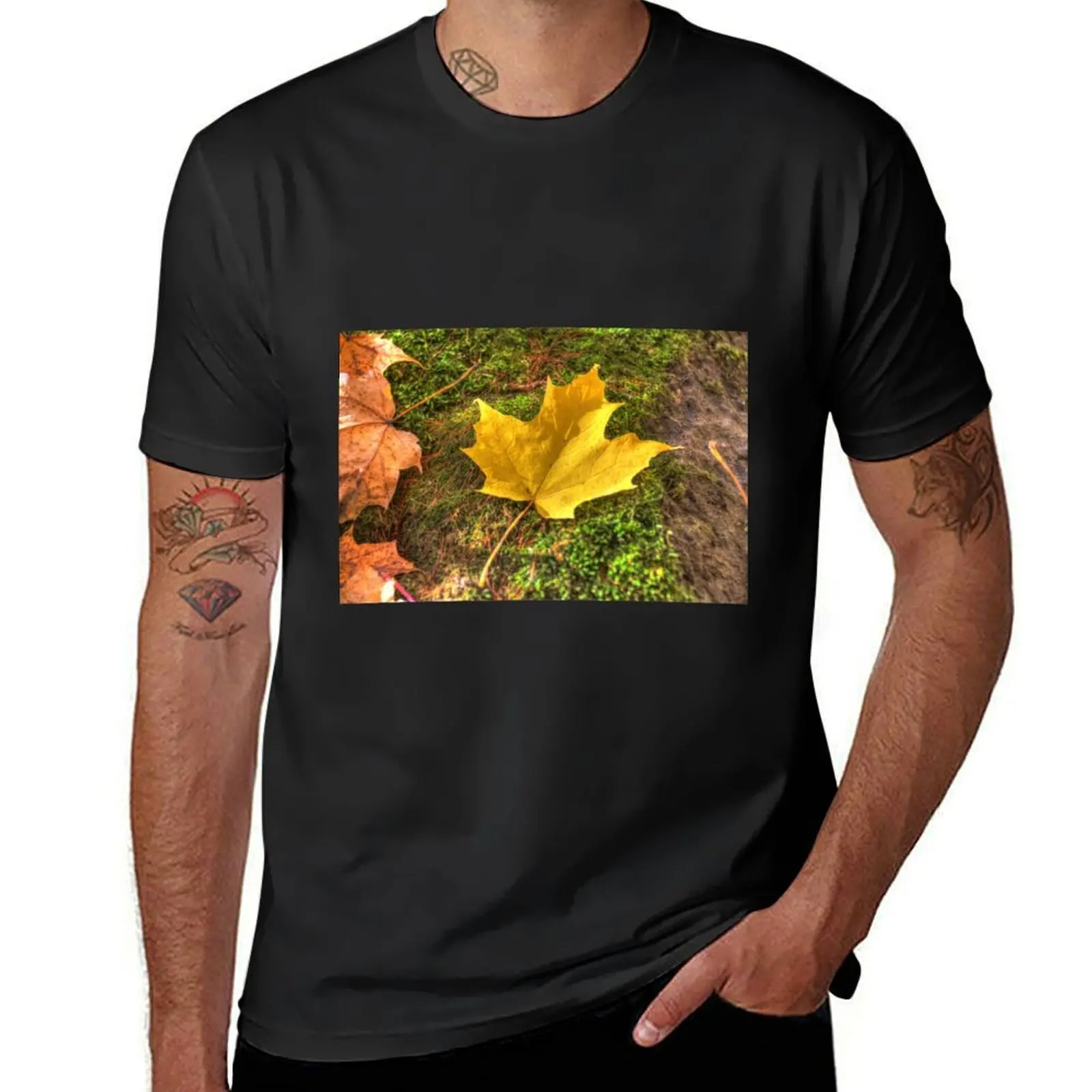 

Fallen leaves IV T-Shirt funnys plus sizes plain black t shirts men