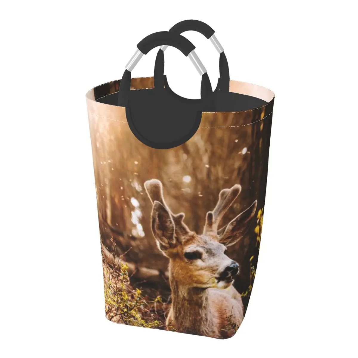 

A Deer In The Yosemite National Park A dirty clothes pack