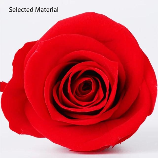 A Grade 2-3cm Preserved Real Rose Head Natural Immortal Long Last Roses Eternal  Real Rose Florist Wedding DIY Floral Materials - AliExpress