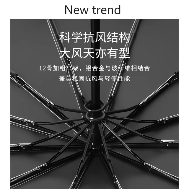 12 Csont Esernyő Teljesen Automatikus Női Hím Nap Eső Nagy Védelem Összecsukható Parasol Szélálló Uv Sombrillák - Image 5