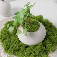 30/50/100g Artificial Green Plants Moss Grass Home Living Room Garden Decoration Mini Landscape Fake Flower DIY Crafts 5