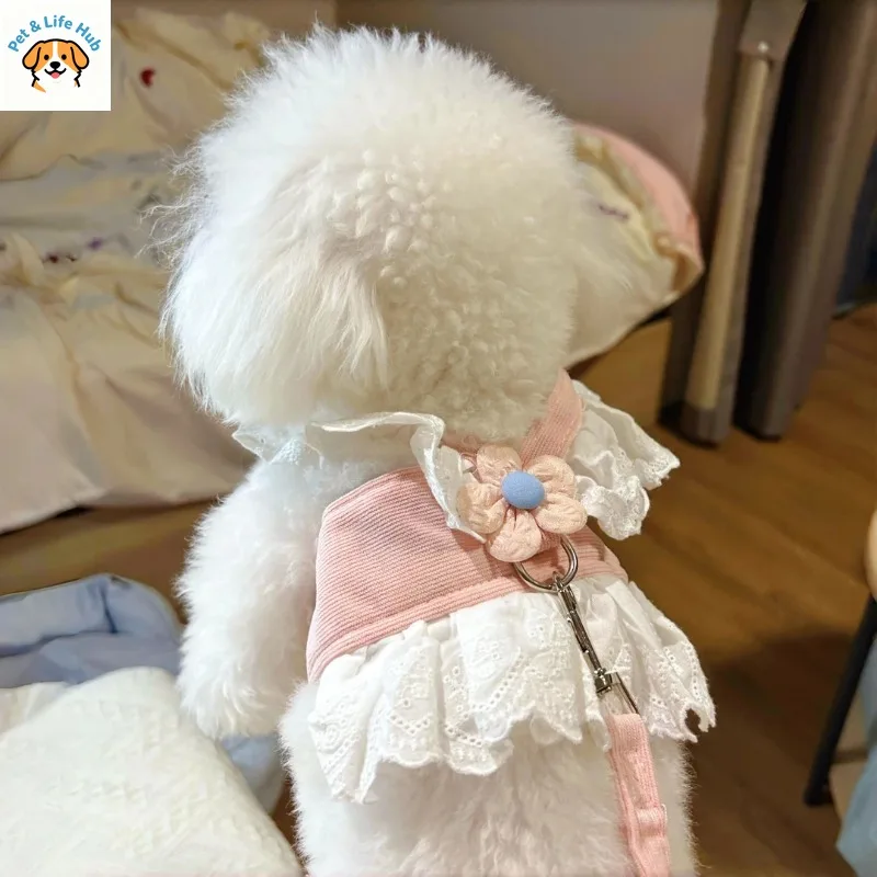 강아지 목줄 조절 가능한 소형견용 목줄, 여름 외출용, 고양이 옷, 애완용품, 고양이 옷