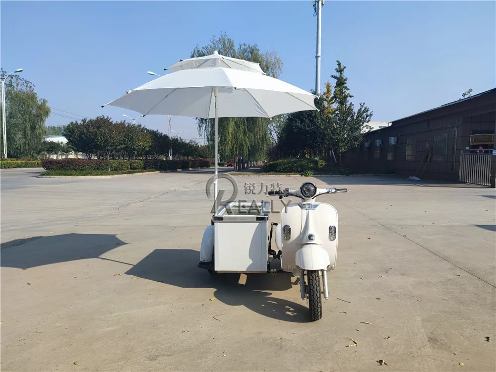 

Commercial Electric Cargo Refrigerator Tricycle Food Bicycle Gelato Ice Cream Bike For Sale