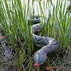 Inflatable Snake Toy Inflatable Snake For False Inflatable Snakes For Garden Props To Scare Birds Squirrels 2