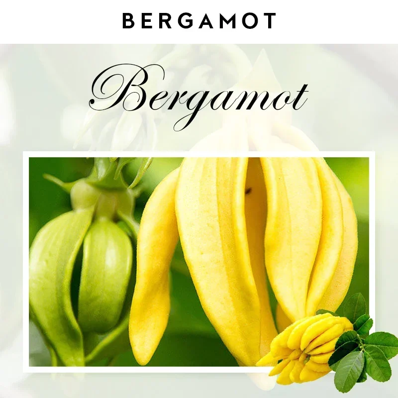 Bergamot