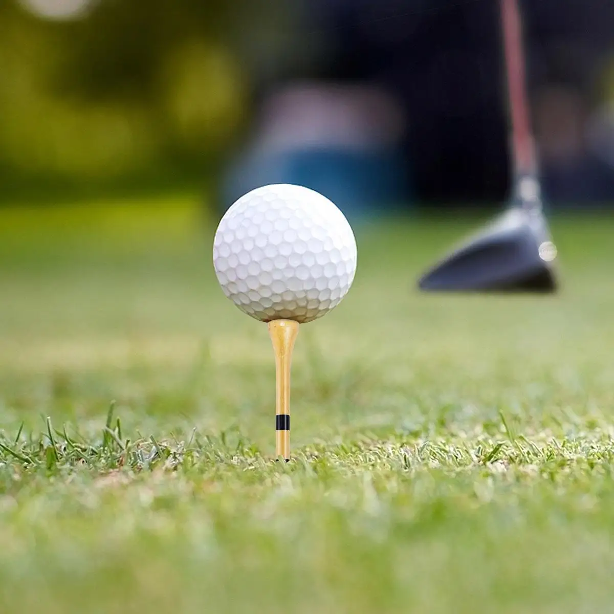 Slide image 01733947bee0430989bfe4fa2dbd983b