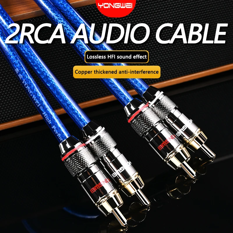 2RCA to 2RCA Interconnect Cable For Amplifier DAC TV DVD High-Performance Premium Hi-Fi Audio Cable HiFi RCA audio audio cable