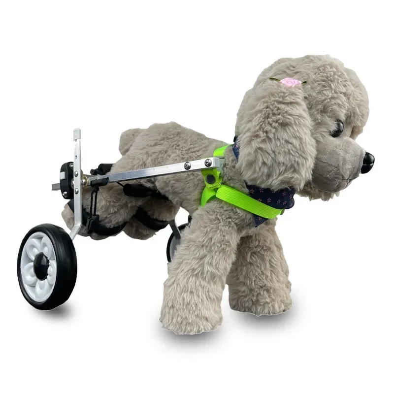 Cani Disabili, Sedie A Rotelle, Ciclomotori Per Animali Domestici Con Arto Posteriore, Cani Anziani, Fori Paralizzati, Girelli Assistite, Rotelle Per 