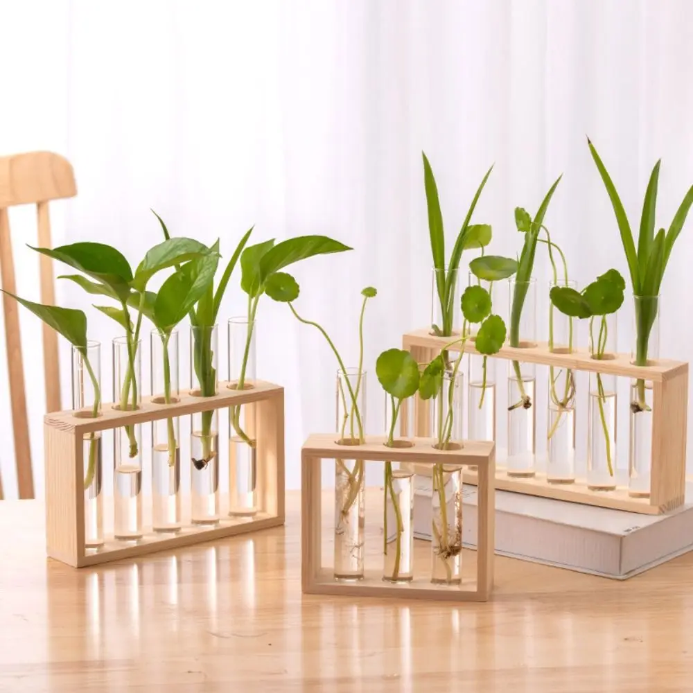 

Wall Mounted Hydroponic Plants Container Creative Vase Ornaments Hydroponic Wood Frame Transparent Glass Test Tube