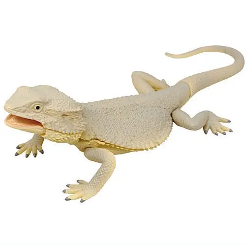 Japanese Bandai Genuine Gacha Scale Model Biological