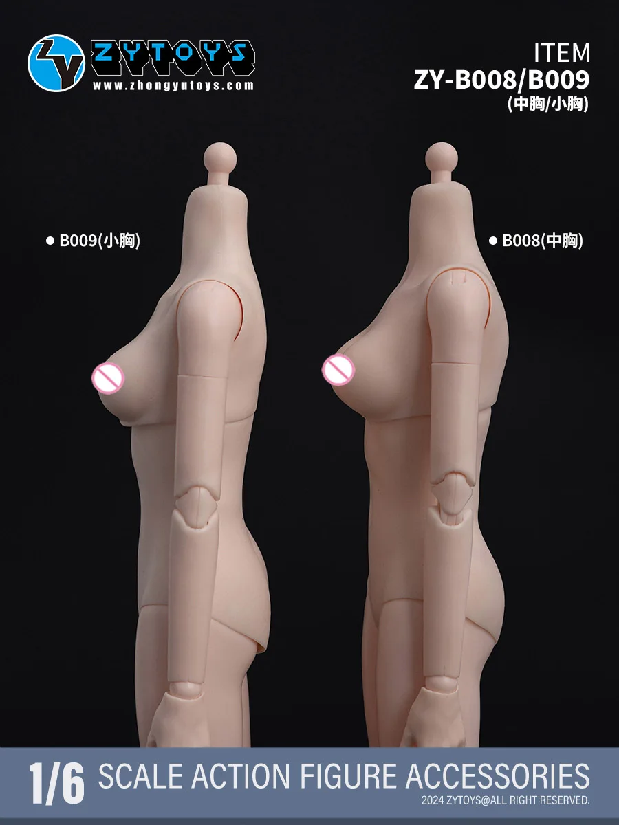 ZYTOYS ZY-B008 ZY-B009 1/6 스케일 여성용 슈퍼 플렉시블 조인트 바디 12인치 화이트 소형 중간 가슴 액션 피규어 바디 모델