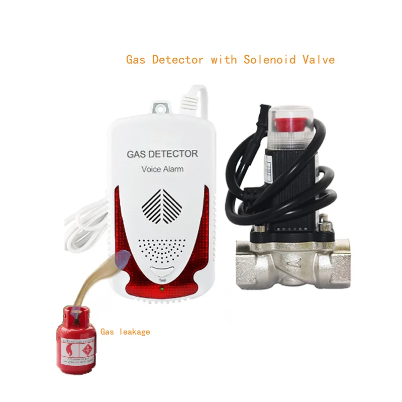 Gas Leak Detector Household Combustible Natural LPG Methane Sensor