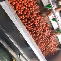 Machine à éplucher les pommes de terre électrique industrielle commerciale, pour usage domestique, petits outils de cuisine, éplucher le fromage, les fruits et légumes 1