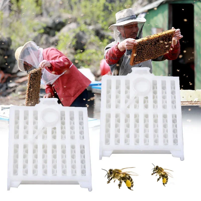 1/2Pcs Beekeeping Transport Queen Cages New Design Bee Post Cage Transparent Box with Comb Fundation Sheet Queen Rearing Tool