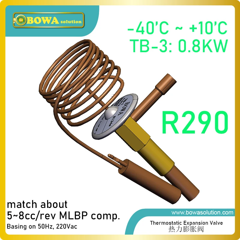 Válvula Termostática da Expansão com Superheat Fixo 800w R290 58cc Rev Compressor Tal Como Tl5cn Dle6.5cn