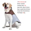 Big Dog Clothes For Winter Warm Thicken Pets Vest Coat With D-ring Outdoor Waterproof Reflectivce Jacket For Large Dogs Labrador 5