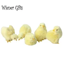 Muñeco realista de felpa para niños, juguete de simulación de polluelo de Pascua, muñeco de Animal realista, regalo de cumpleaños y Navidad, Educación Temprana, regalo de pollito cognitivo