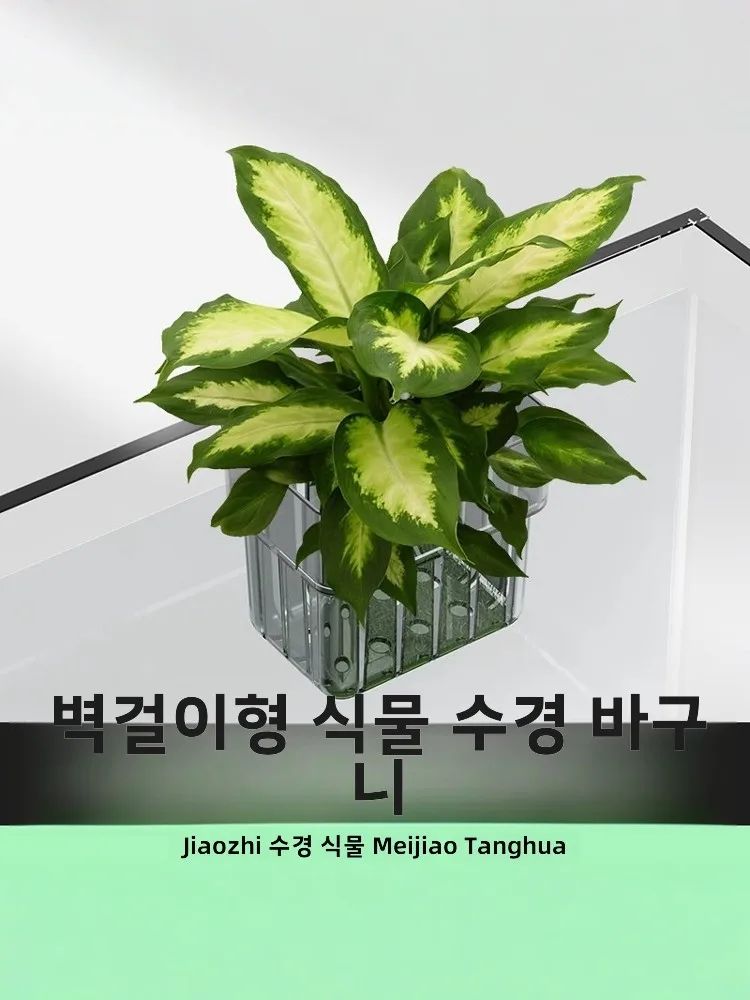 벽걸이식 수초 재배 홀더 수초 재배 홀더 수초 식재 홀더 수초 조경 홀더 수초 심기 홀더 수초 장식 홀더 수초 배양 홀더 수초 조성 홀더 수초 재배 홀더