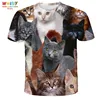 pet Cat