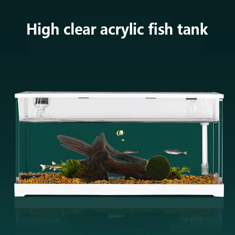 Best Fish Tanks for Goldfish: Top Picks for Beginner Aquariums - Built In Tank For Goldfish