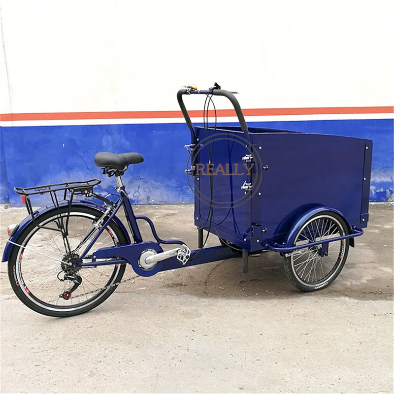 Paupières-Pousse-pousse électrique 36V 250W, tricycle pour