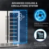 Wine and Beverage Refrigerator, 24 Inch Dual Zone Wine Fridge with Safety Locks, Under Counter Wine Cooler Fridge Freestanding 3