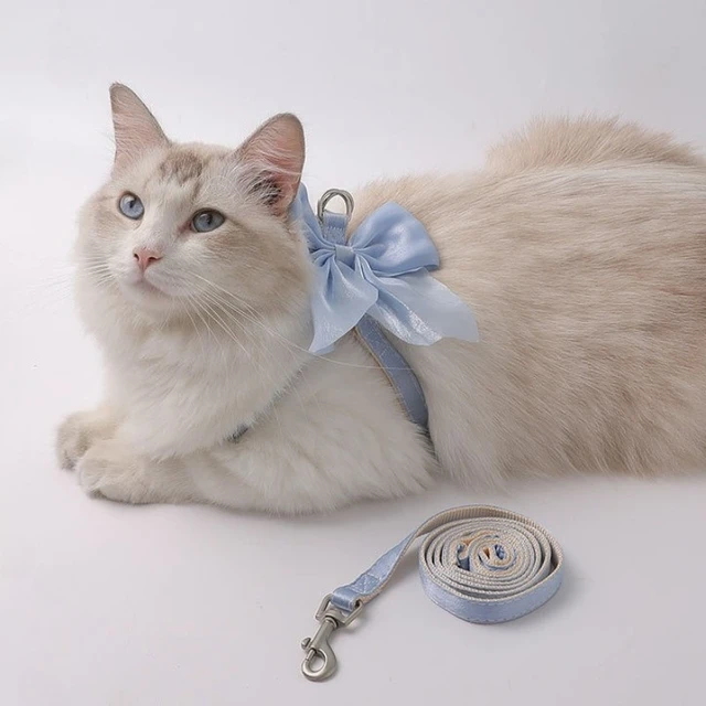 Cute Bowknot Cat Harness and Leash Adjustable Pet Harness with Traction Rope for Cat Kitten Puppy Rabbit Ferret 3