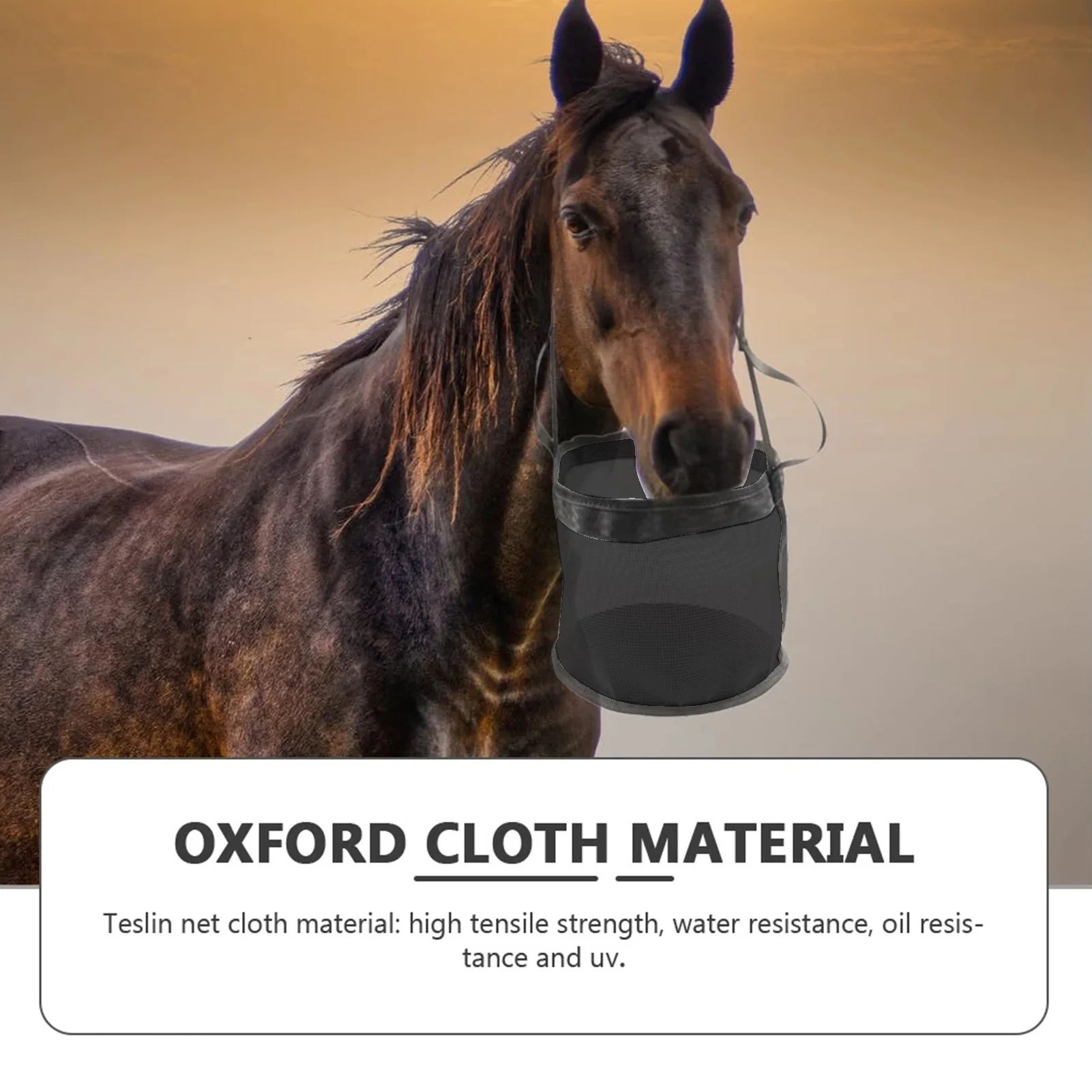 Horse Slow Feeder Grain Purchase Cheap clc.cet.edu