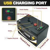 Batterie au Lithium 24V 120Ah LiFePO4 profonde 4000 + Cycles batterie Rechargeable pour l'éclairage, roues électriques, énergie solaire/éolienne, petit UPS 3