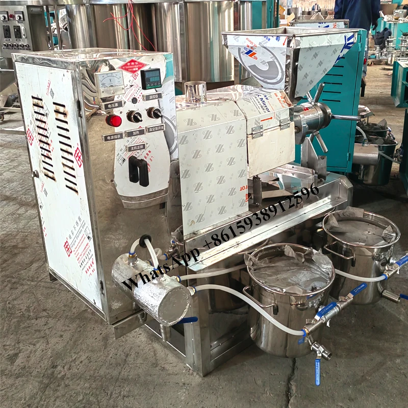 Commercial Oil Press Machine 30-60Kg Per Hours 220V 380V Sesame Peanut Walnut Extractor