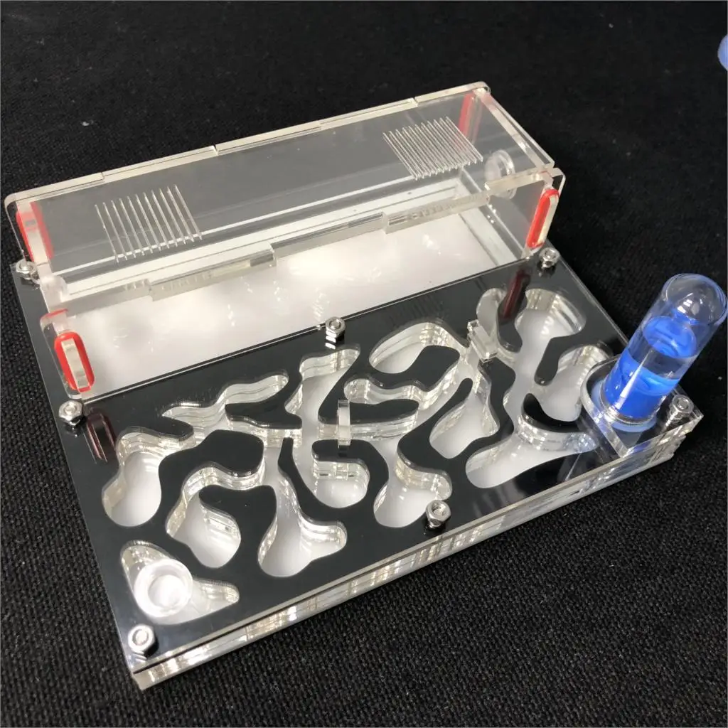 150mmx110mm test tube Moisture big space Ant Nest Ant Farm Acrylic Insect ants Villa House Ants Ecological Workshop ant farm supplies,ant farm,insect observation box,insect cage