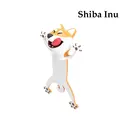 Shiba inu