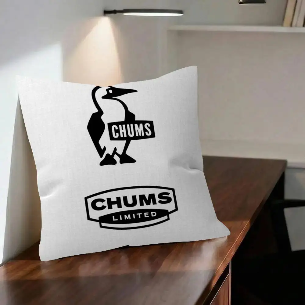 Toon Gift Decorative Pillowcase