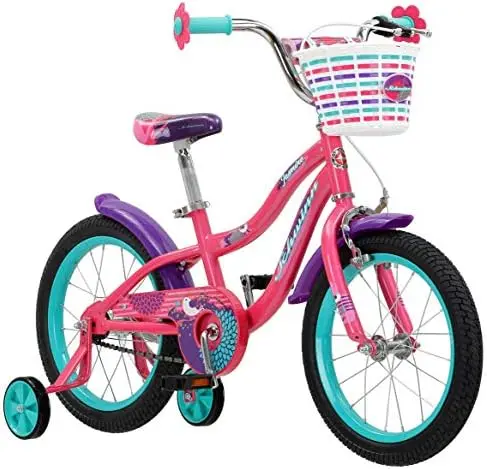 

Kids Bike with Training Wheels, 16-Inch Wheels, Boys and Girls Ages 3-5 Years Old, Basket, Coaster and Hand Brakes, Perfect for