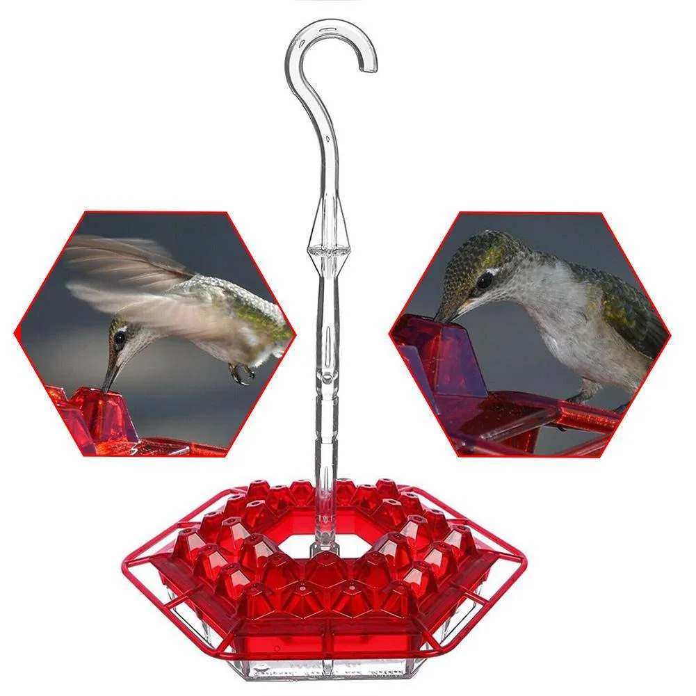 Hummingbird Feeder 4