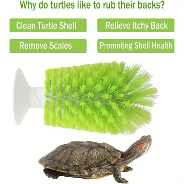 Amphibian Friendly Turtle Back Scrub Brush PVC Suction Cup Exfoliation Tool for Removing Shell Scutes and Promoting Shell Health 2