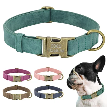Luxury Leather Padded Dog ID Collar with Metal Buckle – Style Meets Safety