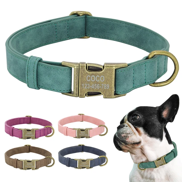 Luxury leather padded dog id collar with metal buckle – style meets safety | |