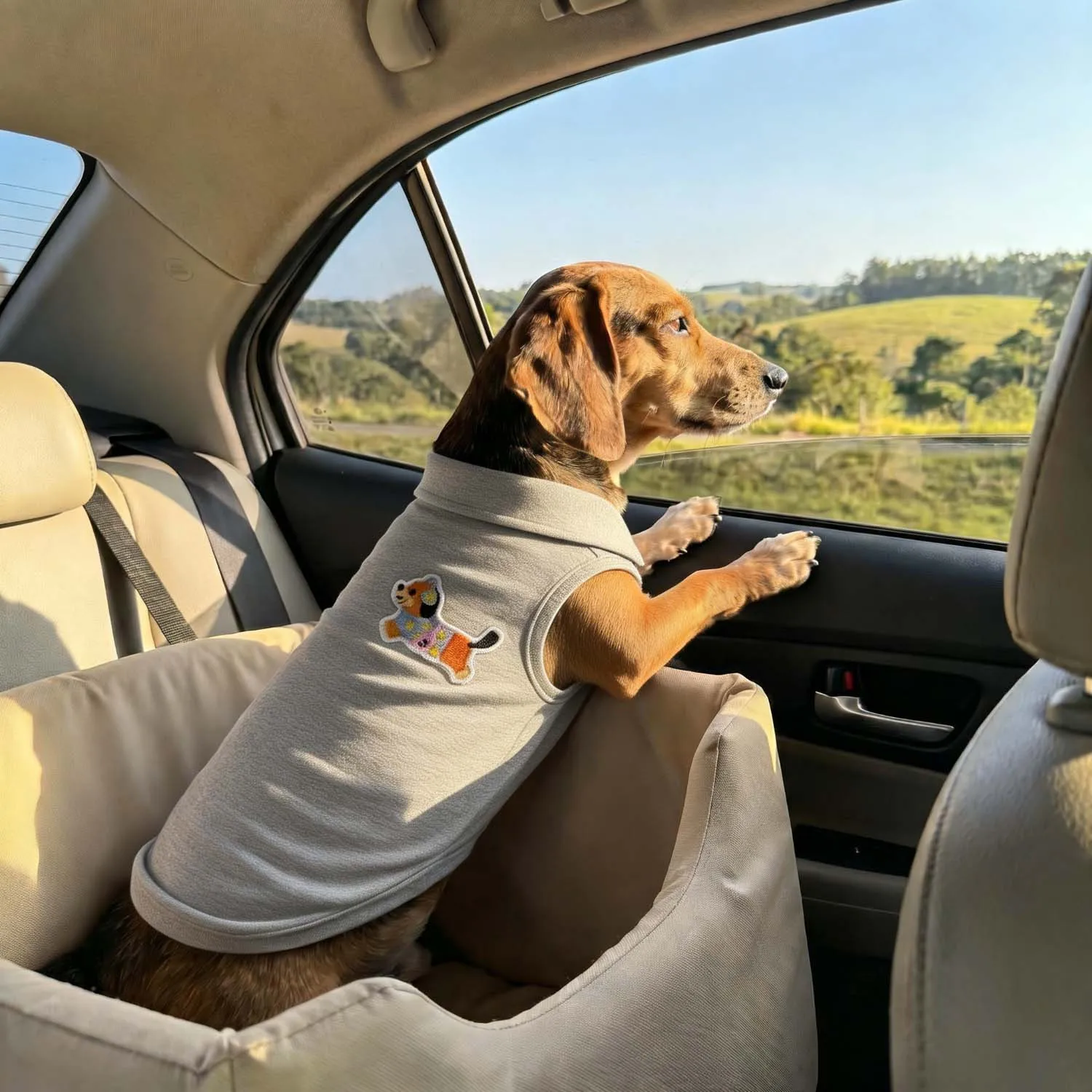 Polo per cani alla moda con ricamo a forma di orso, abbigliamento per animali domestici traspirante e confortevole - immagine 3