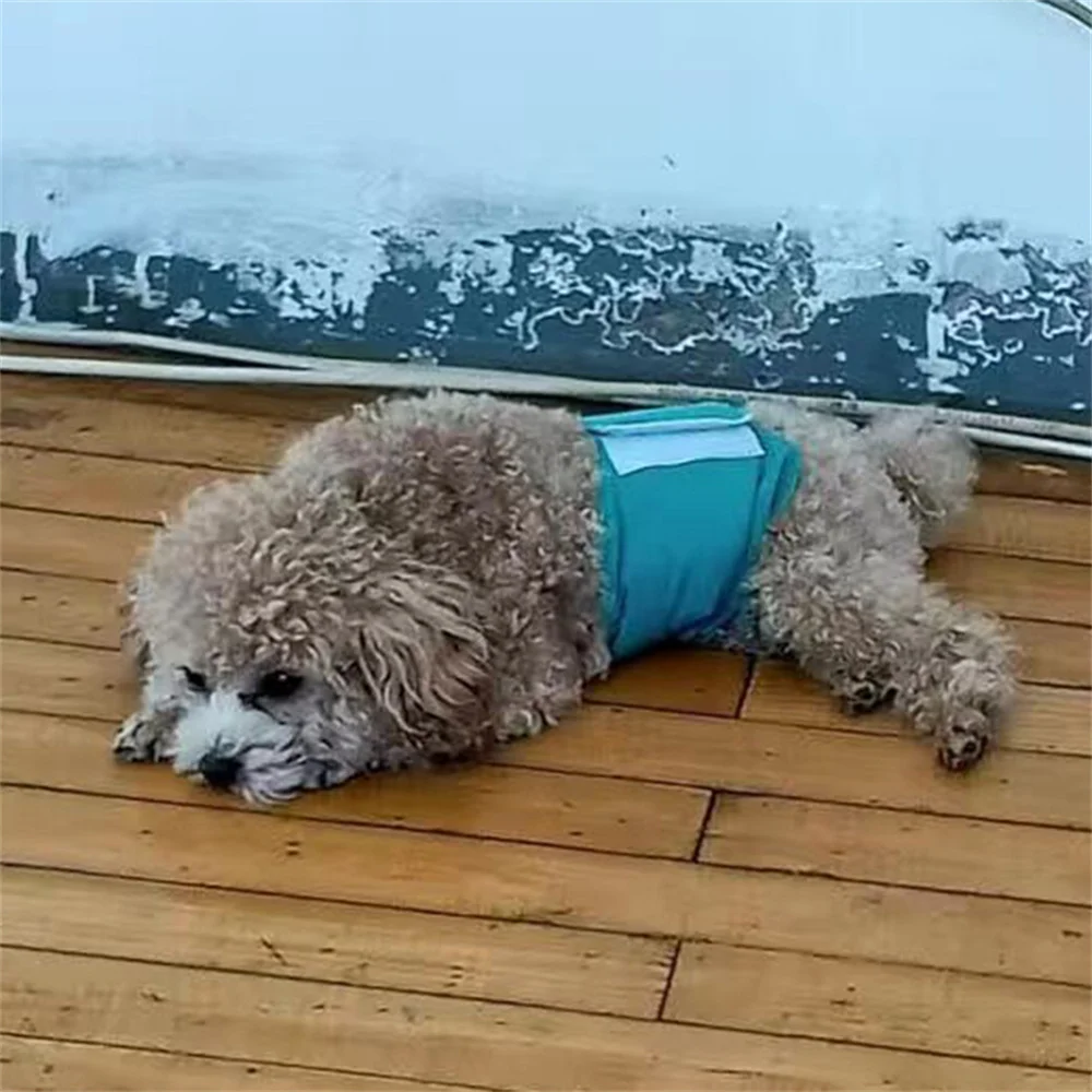 Washable Pet Dog Diapers Males Absorbent Adjustable Puppy Big dog Physiological Pants for Dogs Reusable Pets Dogs Panties Shorts dog diapers,pet diapers,dog nappies
